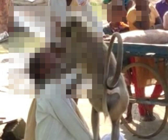 20210106000407pegadada