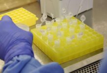 SES-AM entrega à Prefeitura de Manaus lista de profissionais a serem vacinados nas unidades referência para Covid19