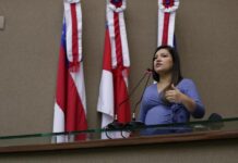 Deputada Joana Darc propõe isenção temporária de ICMS para oxigênio medicinal e produtos usados no tratamento da COVID-19