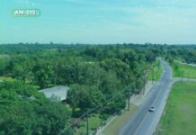 Seinfra apresenta nível do pavimento da rodovia AM-010, destaca Cabo Maciel