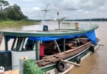 Cinco metros cúbicos de madeira ilegal é apreendida pela Base Arpão