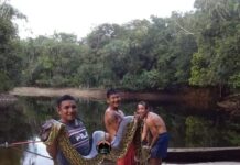 Pescadores encontram sucuri com mais de 5 metros no Amazonas