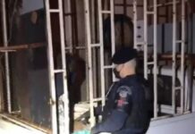 Pai espanca e mantém o próprio filho de 6 anos preso em jaula de caçamba