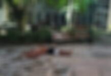 Homem é executado por dupla em moto no Centro de Manaus