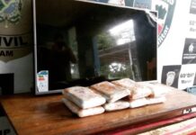 Droga é encontrada dentro de aparelho de TV no interior do AM