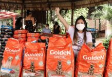 Protetores de Animais recebem quase 4 Toneladas de ração adquirida com recursos destinados por Joana Darc