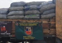 Madeira serrada e carvão vegetal irregulares são apreendida na AM-010