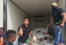 Famílias em Careiro e Presidente Figueiredo são beneficiadas com doações de peixes