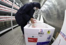 Covid-19: Amazonas alcança meta de vacinação da primeira dose em trabalhadores da saúde e pessoas de 60 a 64 anos