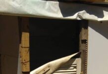 Mãe e avó são presas por dopar e manter criança autista presa em canil