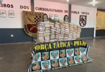 Polícia apreende 100 kg de drogas enterrados em sítio de Manaus; veja vídeo