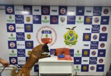 Drogas são encontradas em colete salva-vidas dentro de barco no interior do AM