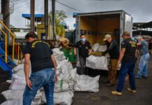 Era uma vez! Policia incinera 1,5 toneladas de drogas