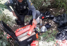 Polícia Militar apreende aproximadamente 23 quilos de drogas no interior do AM