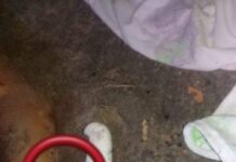 Mulher é morta com 18 facadas pelo companheiro após discussão