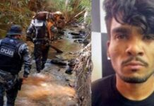 Cachorro que farejava Lázaro fica ferido e acaba saindo do caso