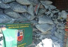 Mil sacos de carvão vegetal são apreendidos pelo Batalhão Ambiental da PMAM