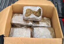 A casa caiu! Homem é flagrado entregando drogas no bairro Campo Sales