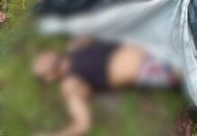 Em Careiro Castanho, corpo é encontrado com sinais de agressão