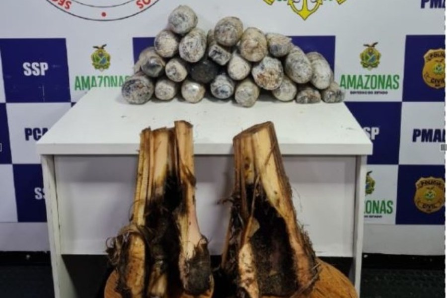 muda de baanana novo