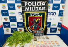 A casa caiu: homem é flagrado com mudas de maconha e dinheiro nacional e estrangeiro