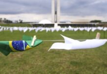 CPI terá dia dedicado a ouvir parentes de vítimas da covid-19