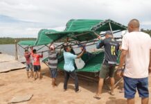 Árvores de Natal chegam pelos rios em cinco municípios do Amazonas