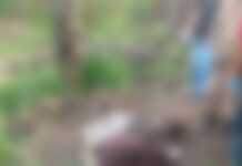 Corpo de homem que teve cabeça decapitada por facção criminosa em Iranduba é encontrado