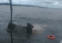 Navio rebocador afunda e passageiros vivem momentos de terror; veja vídeo