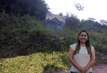 Agricultores de Figueredo não conseguem escoar a produção pelas más condições dos ramais