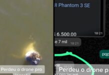 Impressionante: jacaré dá salto e pula em drone de R$ 7 mil reais; veja video