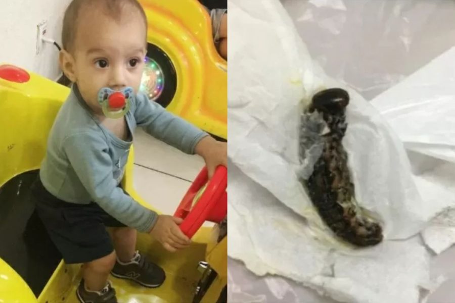 bebe-morre-lagarta-900x600-1