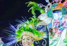 Morre vítima de acidente na alegoria da Flor Matizada