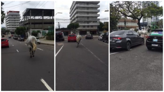 1666727839329498-e1666727867143-696x393