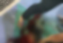 Motociclista é atingido em cima de calçada e arrastado por ônibus no Parque Dez; veja vídeo