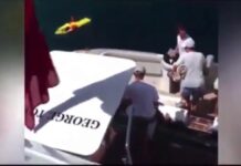 Eduardo Braga é Flagrado em Iate de R$ 300 milhões no mar Mediterrâneo paraíso de bilionários