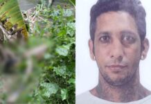 Corpo de homem é encontrado em área de mata na zona norte de Manaus