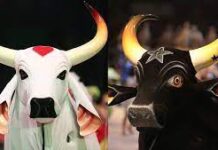 Venda de ingressos para o Festival de Parintins são suspensas após erro em site