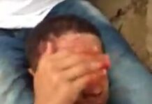 Vídeo: Ladrão apanha e recebe golpe de jiu-jítsu e implora pela vida