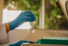 Amazonas segue na liderança entre os estados que mais investe na formação de mestres e doutores