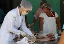Em Rio Preto da Eva, Governo do Amazonas e Sebrae promoverão cursos de beneficiamento de pescado