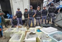 Polícia apreende pedra preciosa no Porto do São Raimundo