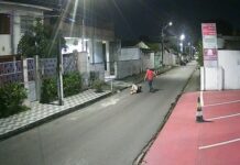 VÍDEOS: Mulher é agredida por homem no meio da rua no bairro Parque Dez em Manaus; vejam: