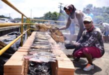 Prefeito distribui 1.000 bandas e tambaqui no aniversário da cidade de Rio Preto da Eva