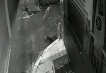 VÍDEO: Mulher é vista atacando cachorro à facadas no Petrópolis em Manaus