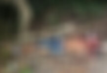 VÍDEO: Com o coração arrancado, corpo é encontrado amarrado em árvore no São José em Manaus