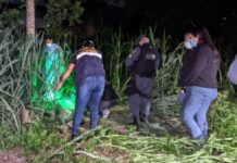 Com sinais de tortura e marcas de tiros, corpo é encontrado em terreno no Jorge Teixeira