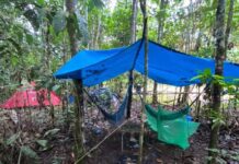 Forças Armadas destroem pista de pouso e apreende drogas avaliadas em R$ 57 milhões no AM