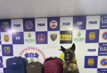 Ações da Base Arpão resultam em R$ 47,9 milhões de danos ao crime, no primeiro semestre de 2023