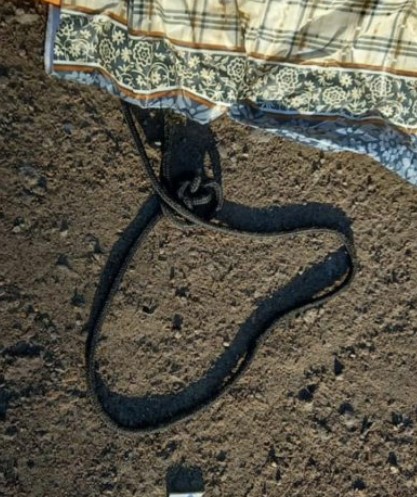 Captura de tela 2023-07-11 122014